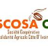 scosa-ci's picture